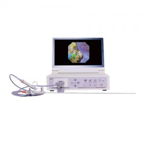 Rigid Digital uretero-renoscope